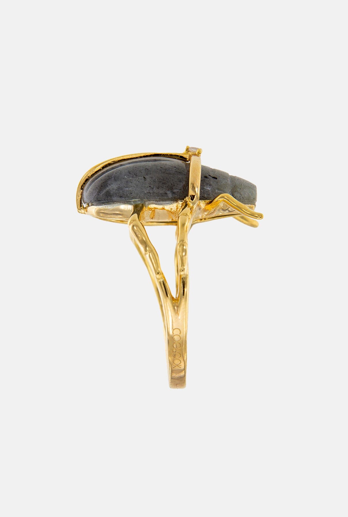 Anillo Escarabajo Karnak Rings Coolook