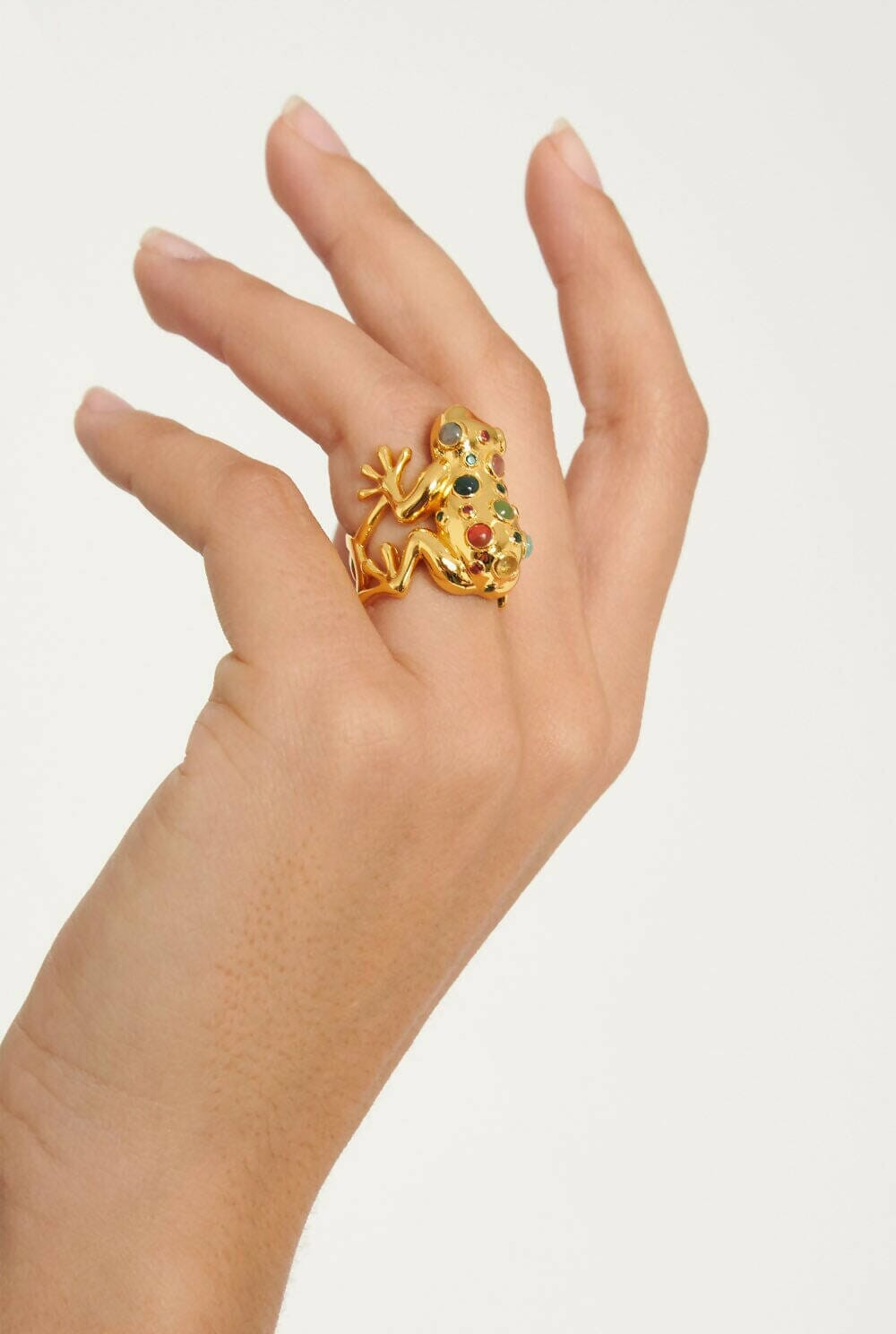 Anillo Rana Jungla Anillos Coolook