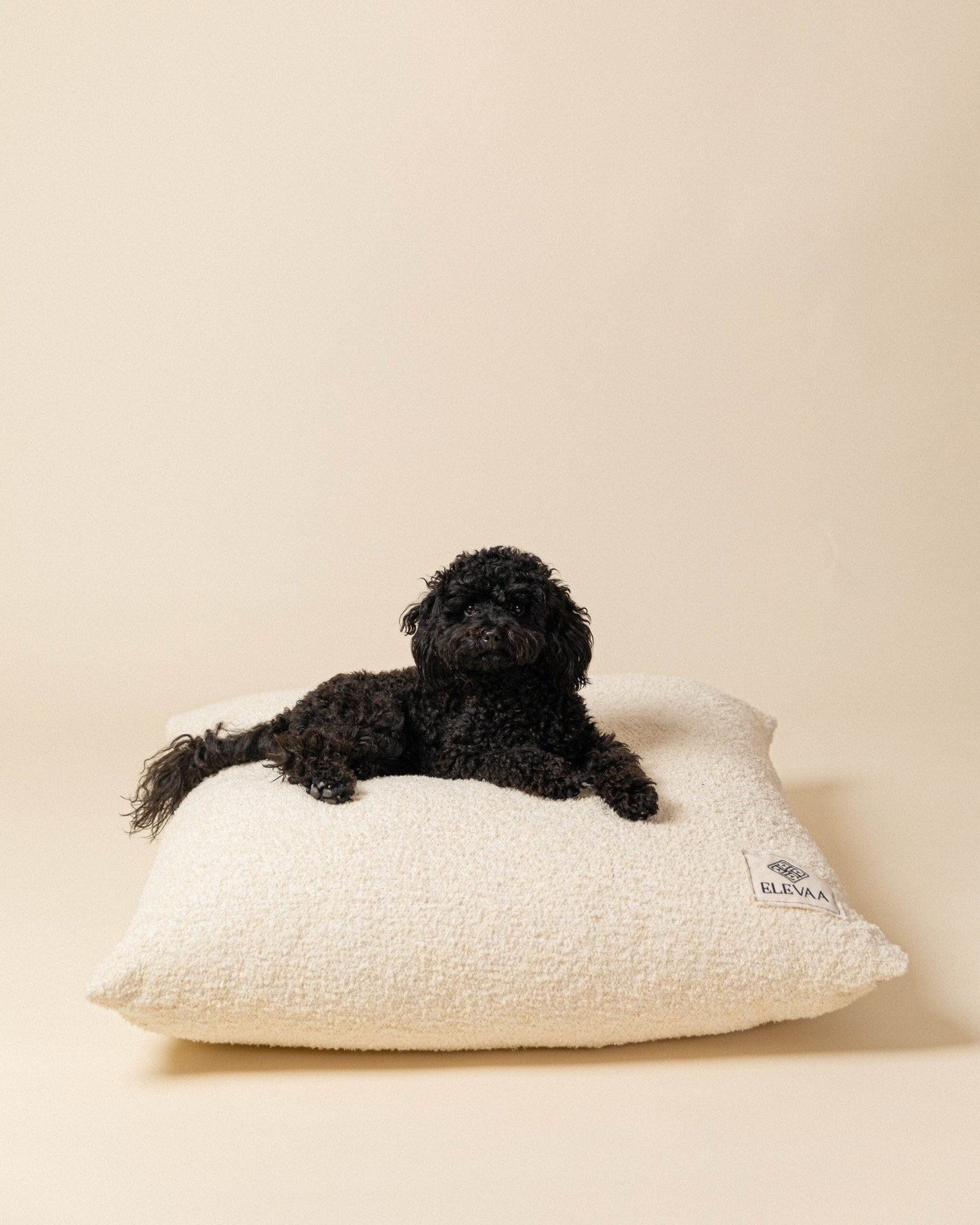 Cojín de Suelo Cushions ELEVAA