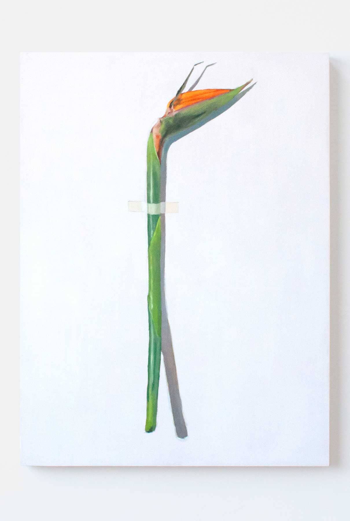 AVE DEL PARAÍSO Paintings Nacho Pola