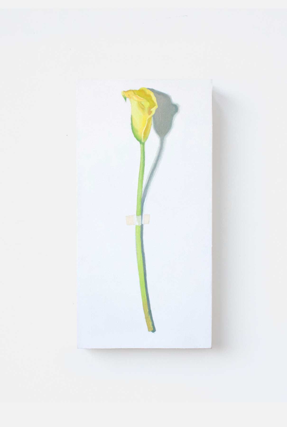 CALA AMARILLA Paintings Nacho Pola