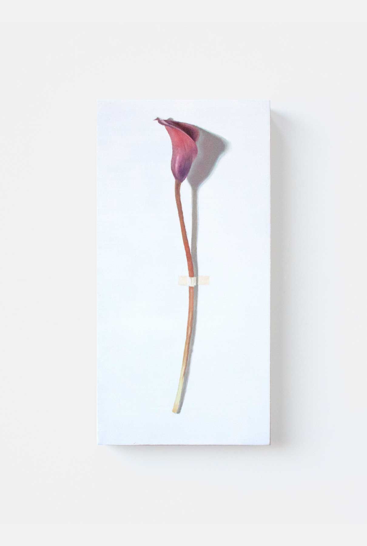 CALA ROJA Paintings Nacho Pola