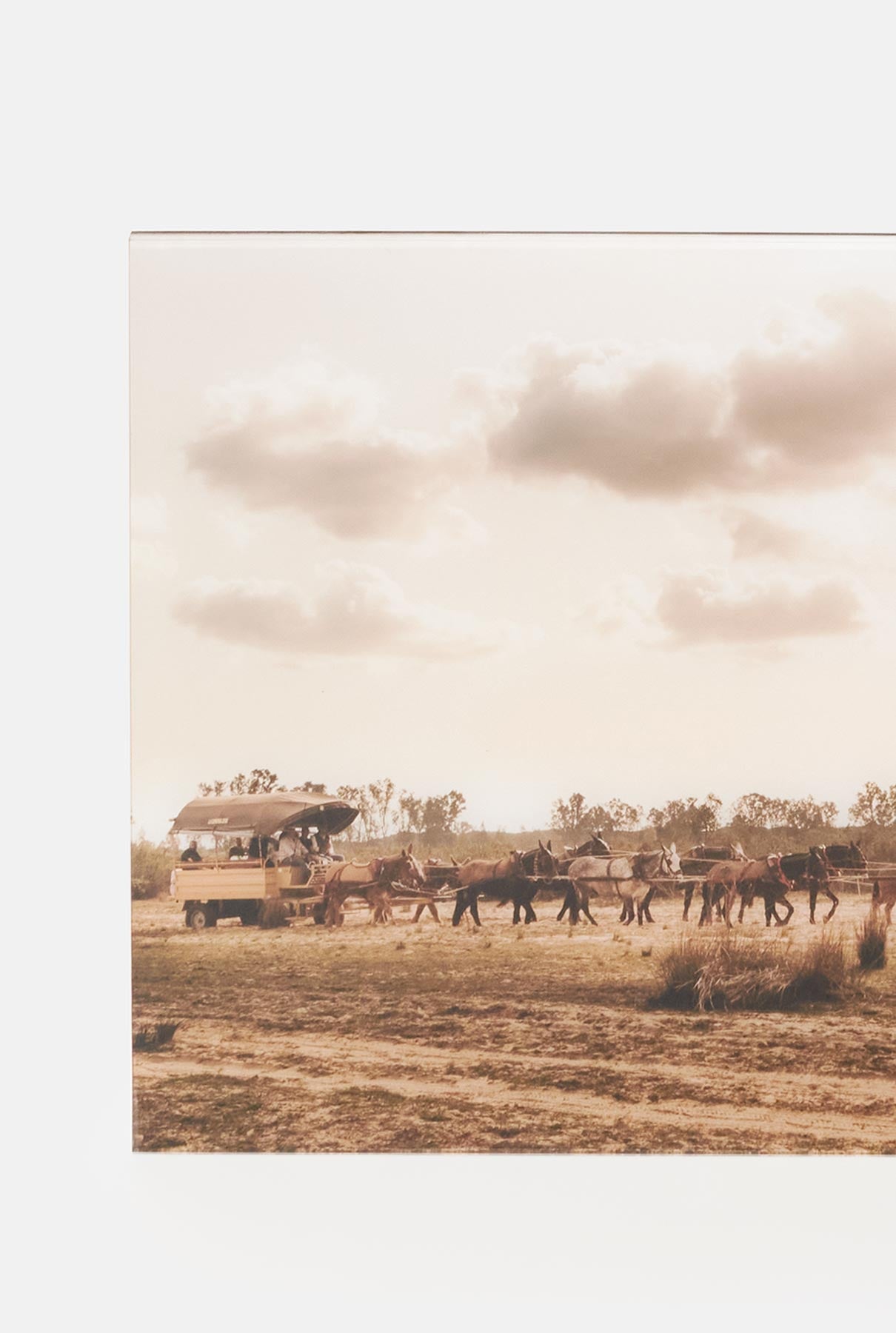 Camino Patricia Salinero