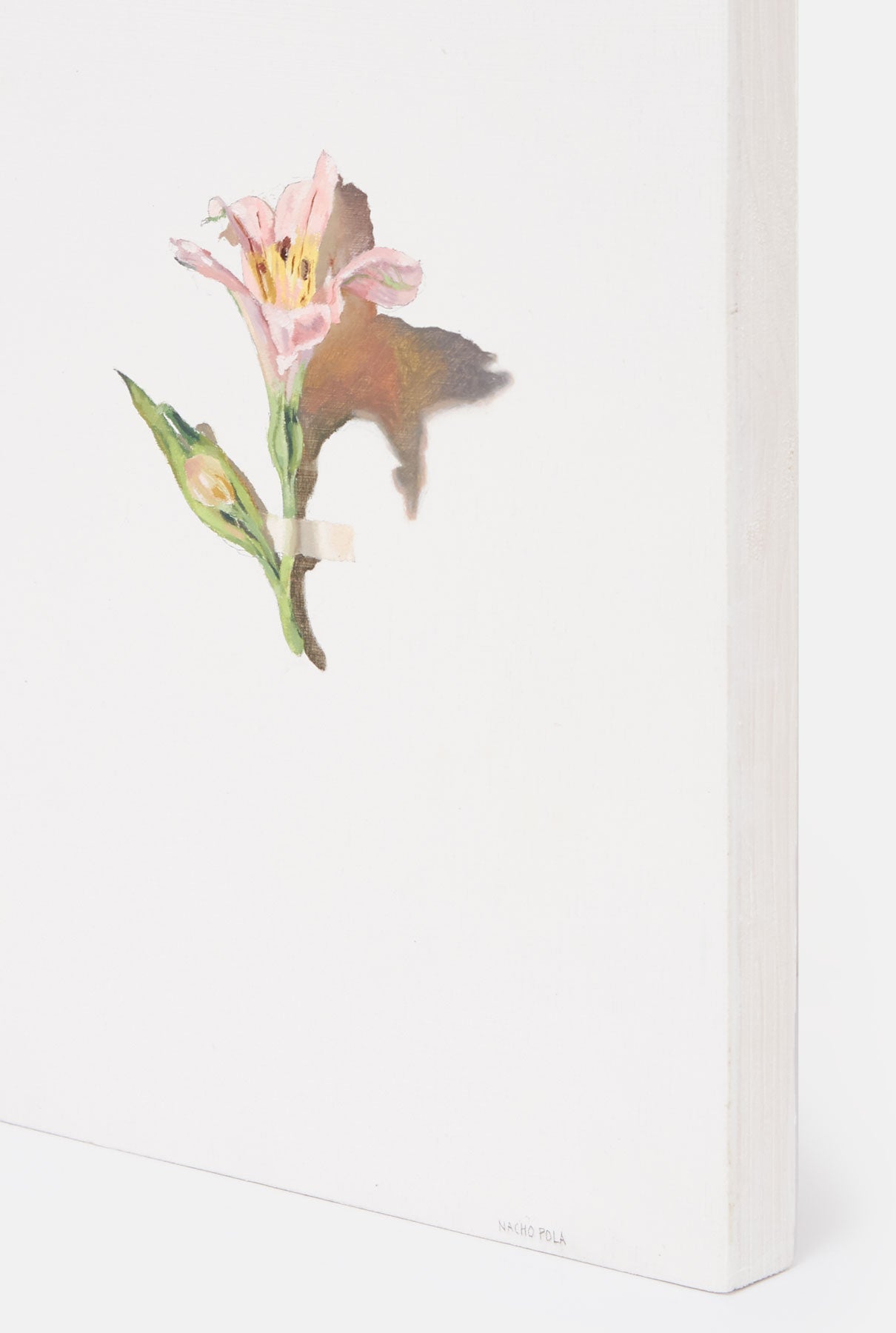 Flor 2 Paintings Nacho Pola