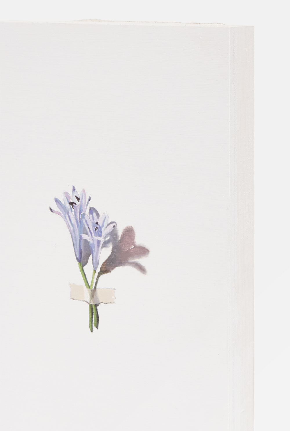 Flor 4 Paintings Nacho Pola