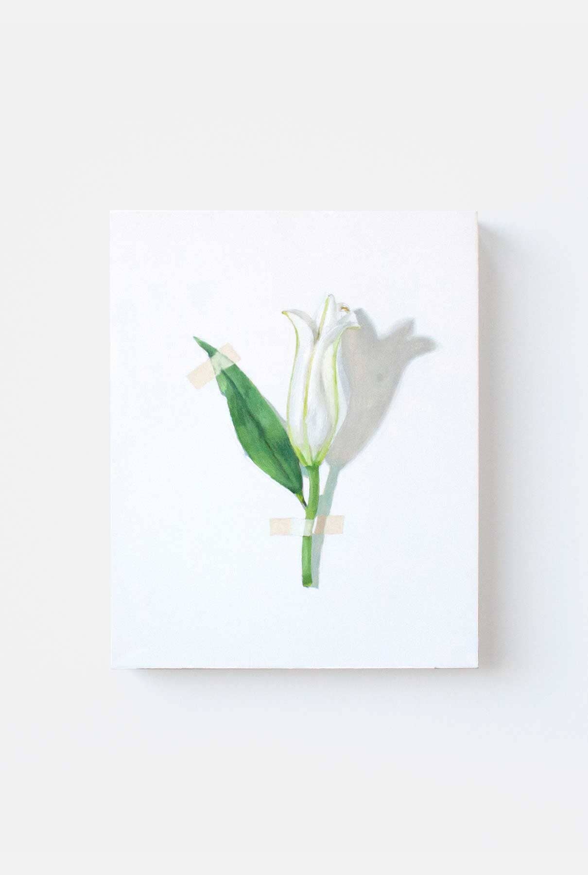 LIRIO BLANCO II Paintings Nacho Pola