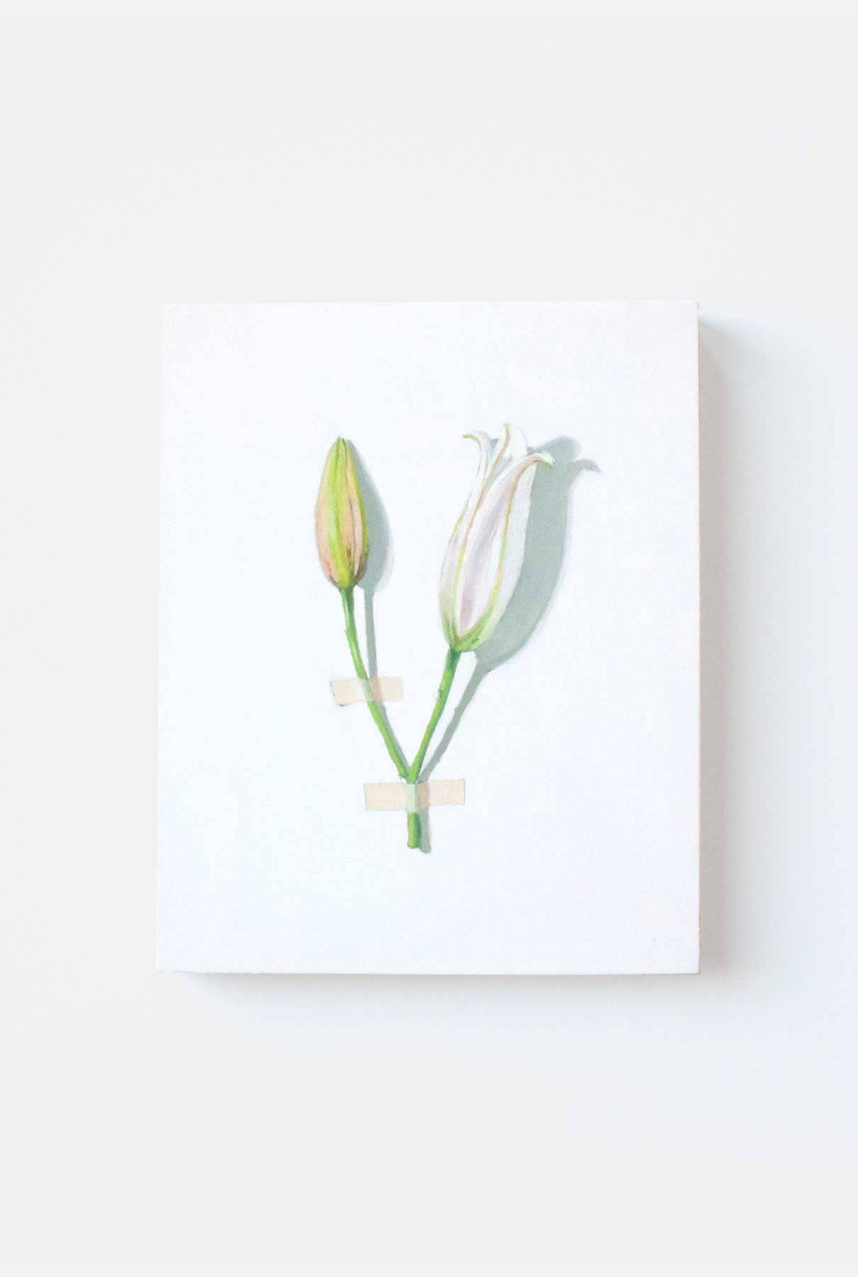 LIRIO BLANCO III Paintings Nacho Pola