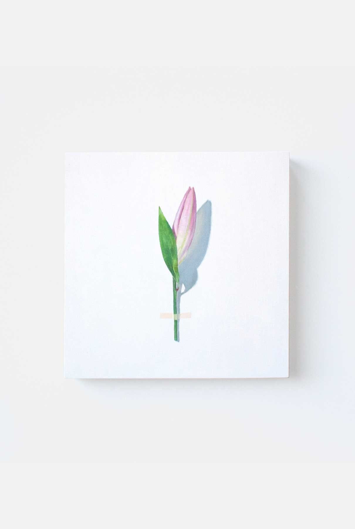 LIRIO ROSA I Paintings Nacho Pola