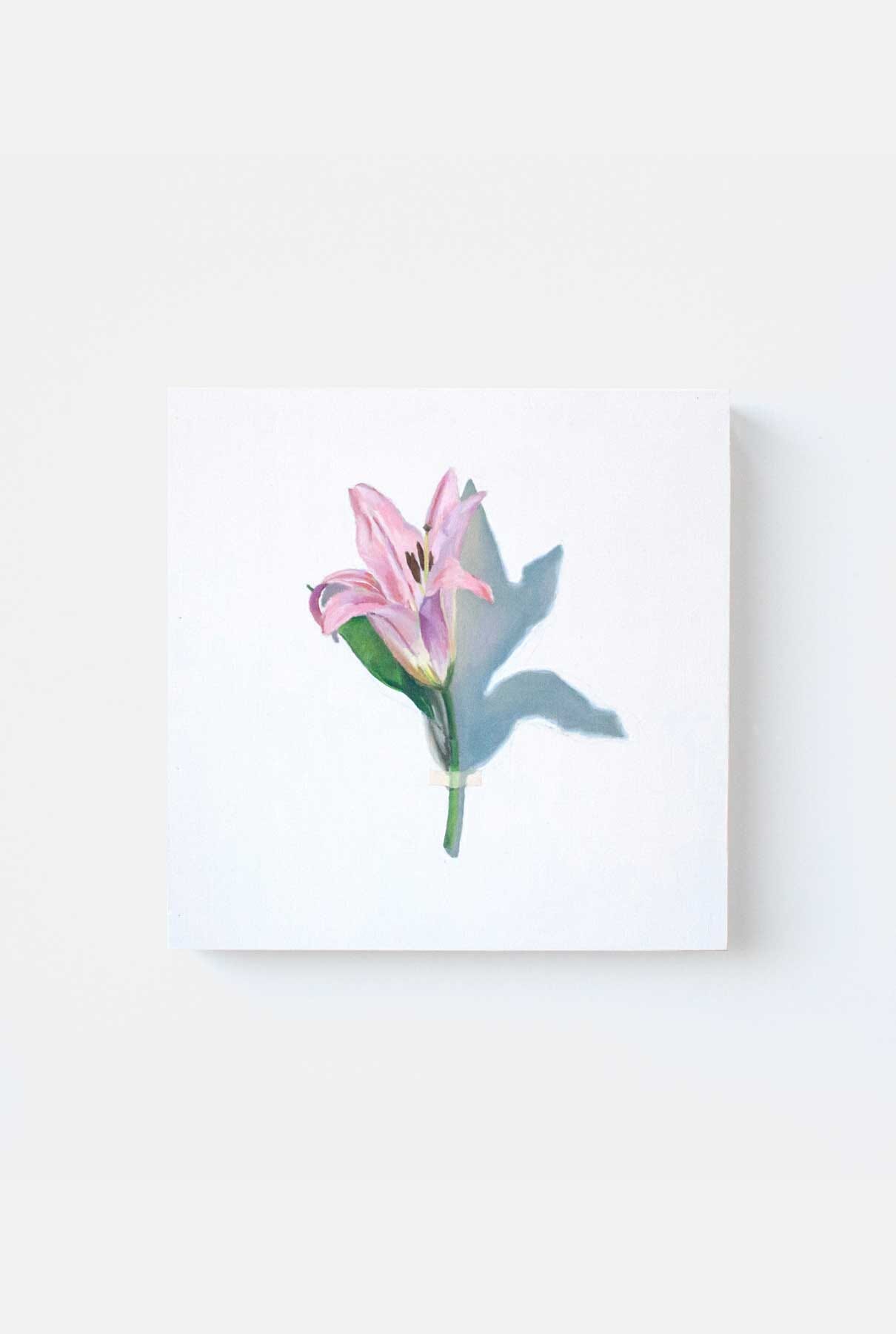 LIRIO ROSA III Paintings Nacho Pola