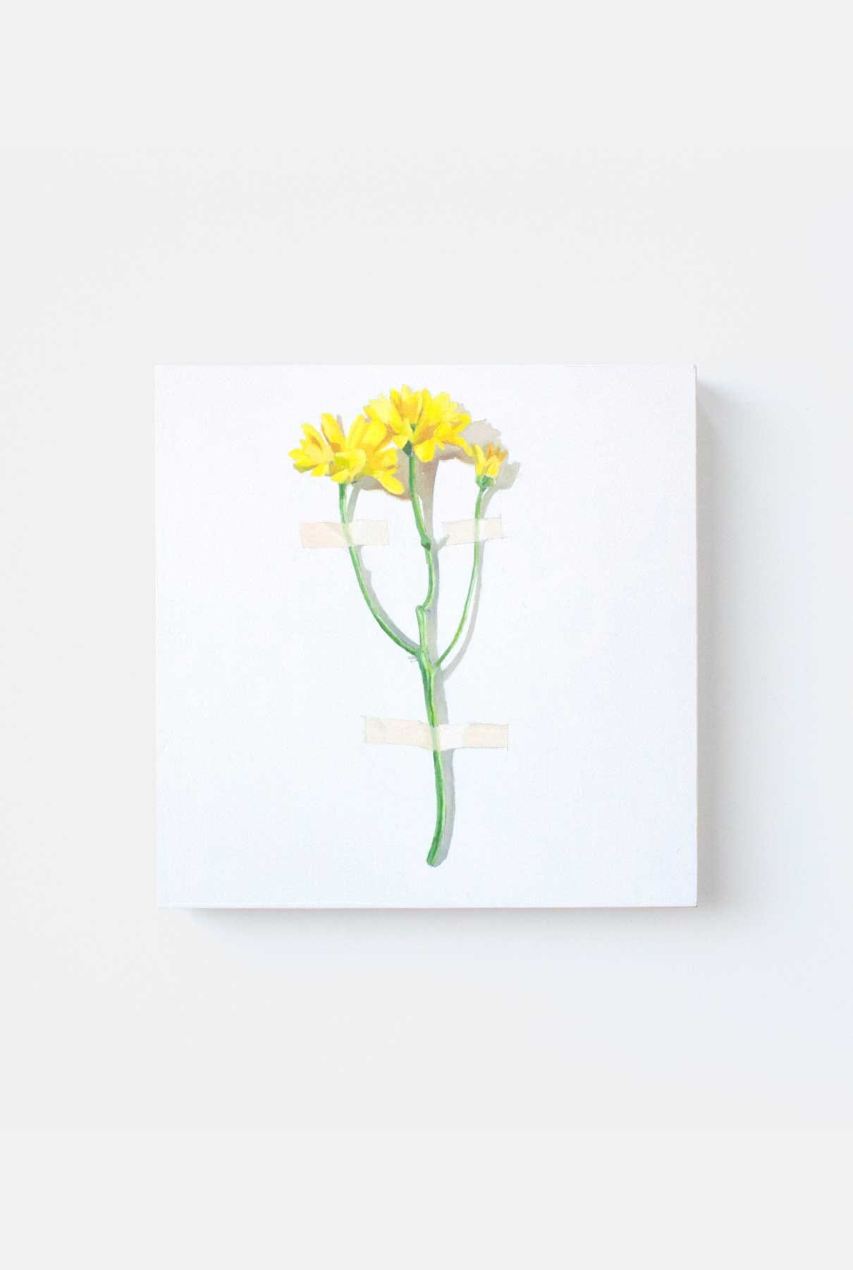 MARGARITAS Paintings Nacho Pola