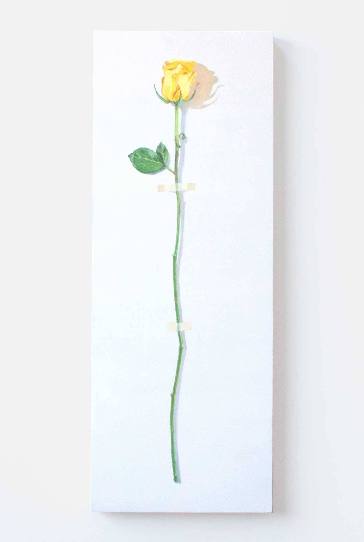 ROSA Paintings Nacho Pola