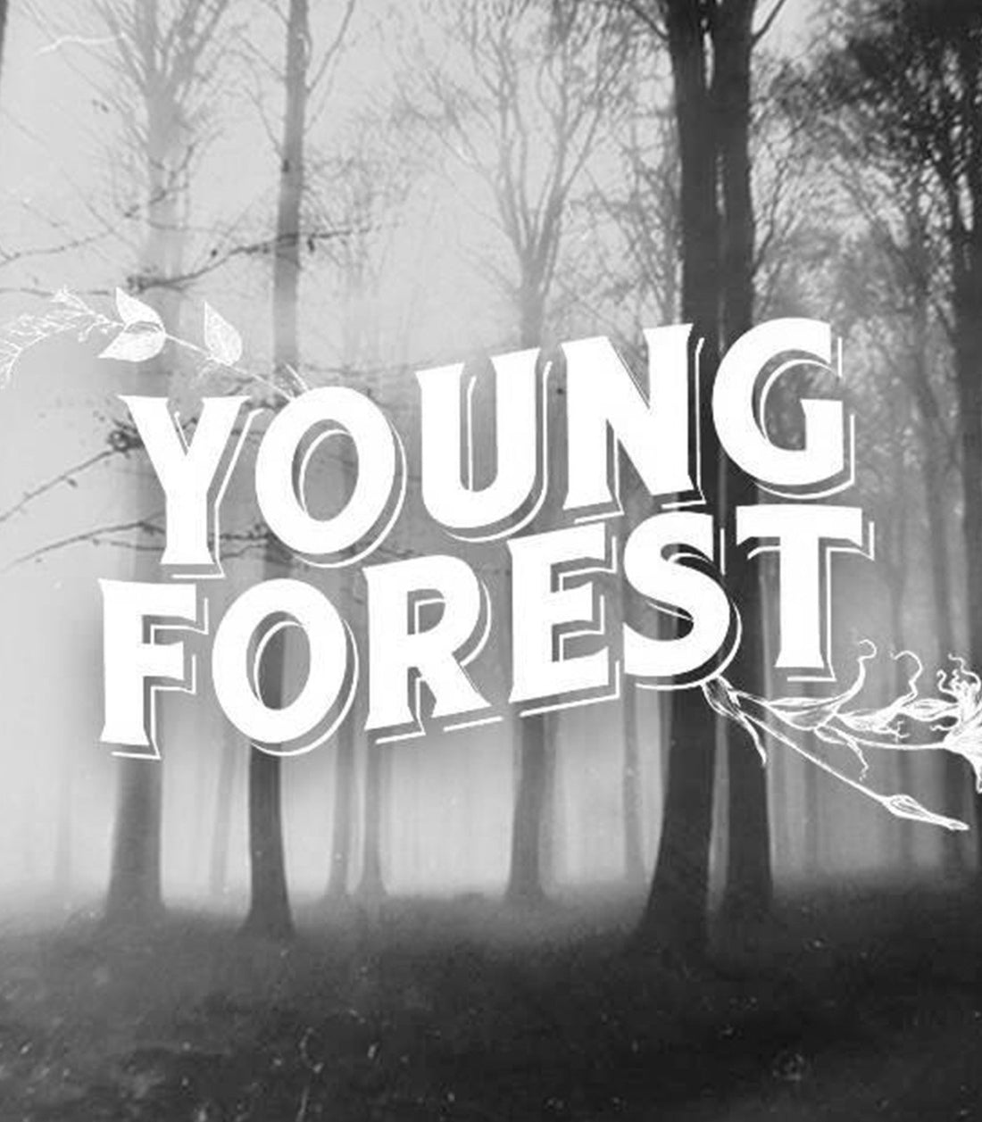 Young Forest. Mi banda de música fascinante