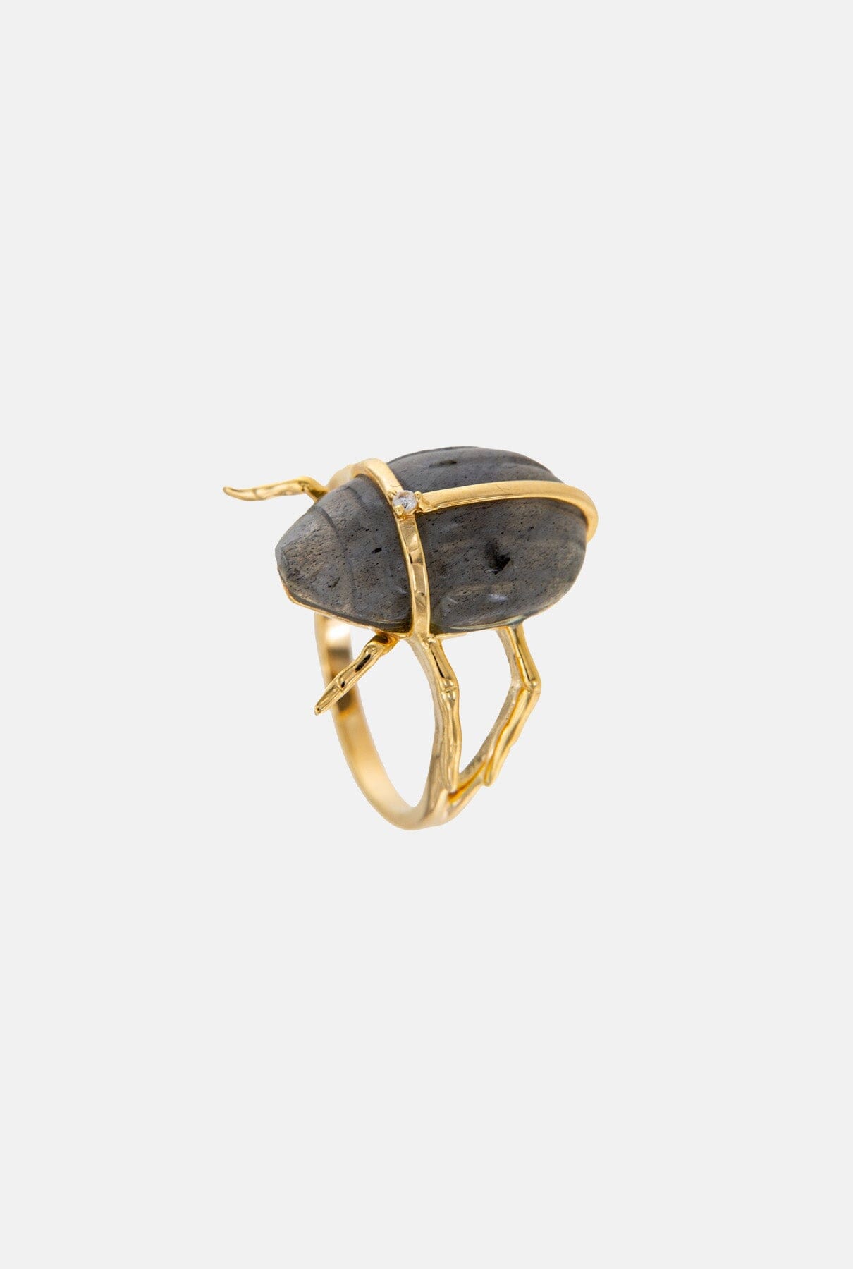 Anillo Escarabajo Karnak Rings Coolook 