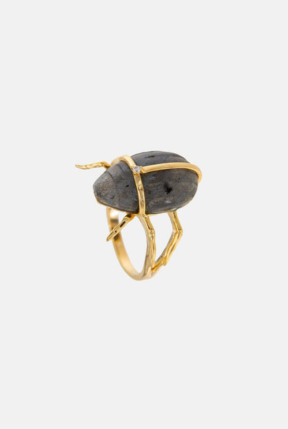 Anillo Escarabajo Karnak Rings Coolook 