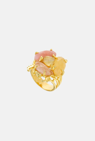 Anillo Escarabajo Rosa Rings Coolook 