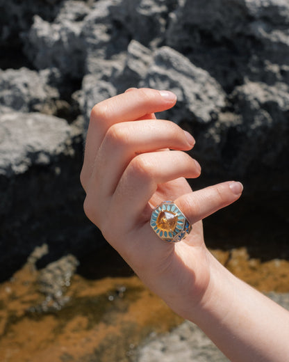 Anillo Rana Rainforest Rings Coolook 