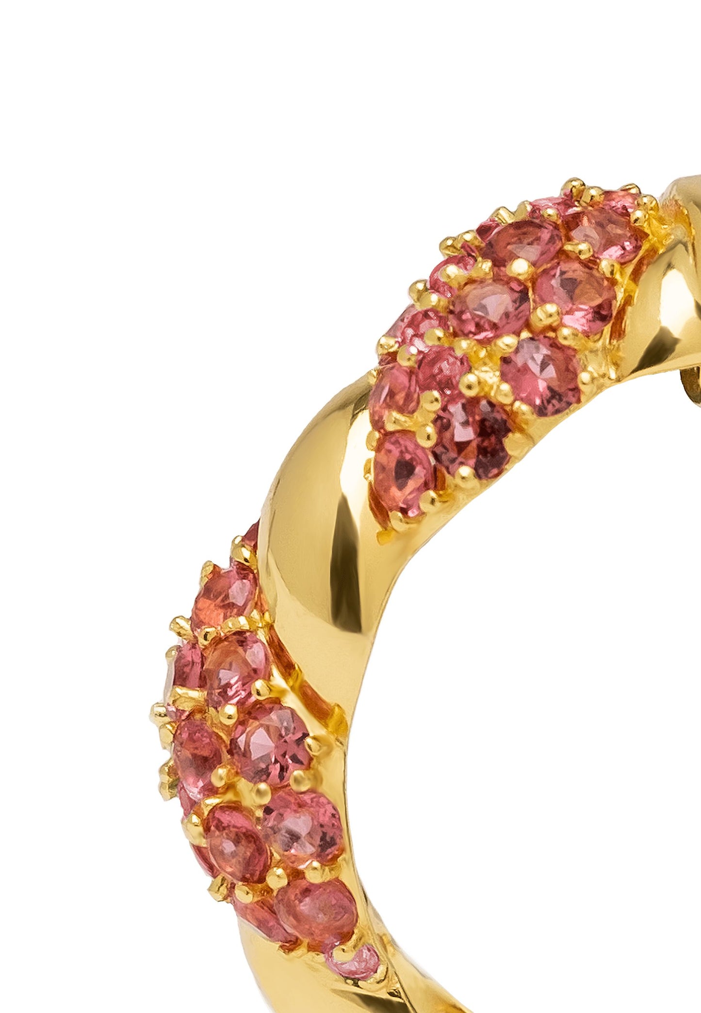 Aros Paramount Fucsia Earrings LAVANI 