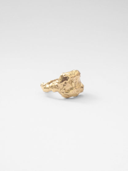 Buit Ring Gold Rings Albert Coll 