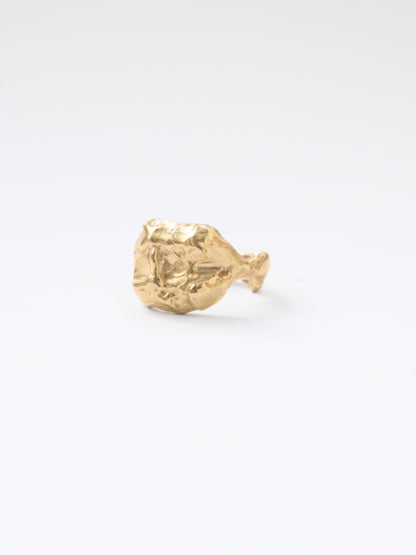 Buit Ring Gold Rings Albert Coll 