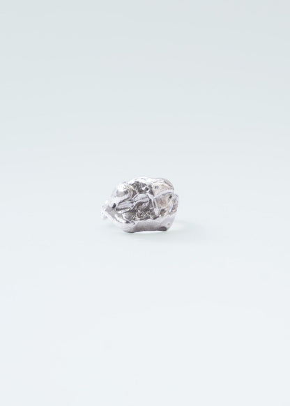 Buit Ring Silver Rings Albert Coll 