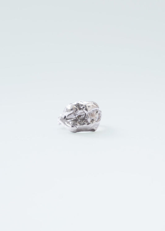 Buit Ring Silver Rings Albert Coll 