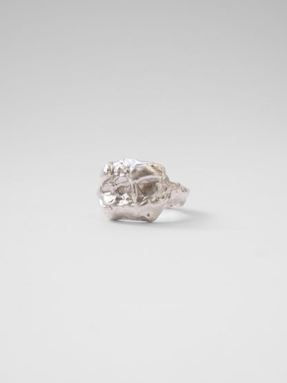 Buit Ring Silver Rings Albert Coll 