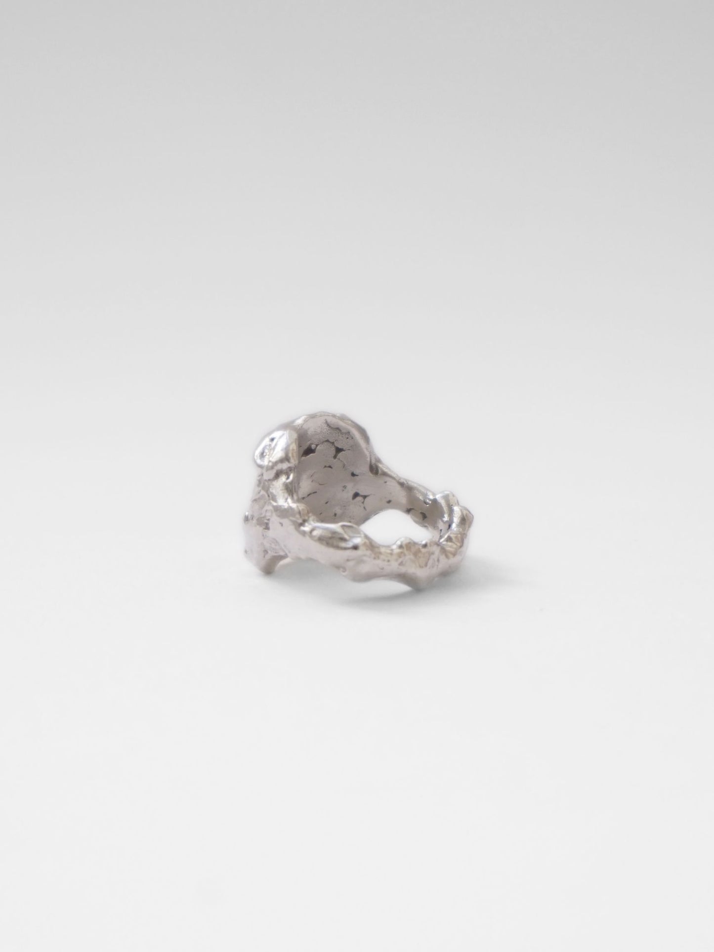 Buit Ring Silver Rings Albert Coll 
