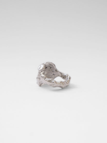 Buit Ring Silver Rings Albert Coll 