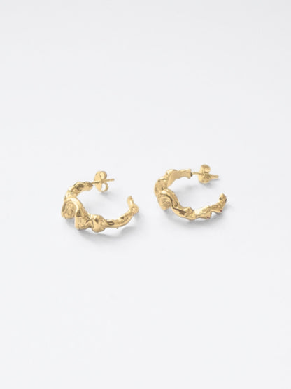 Continu Earrings Gold Earrings Albert Coll 
