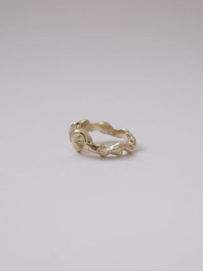 Cura Ring Gold Rings Albert Coll 