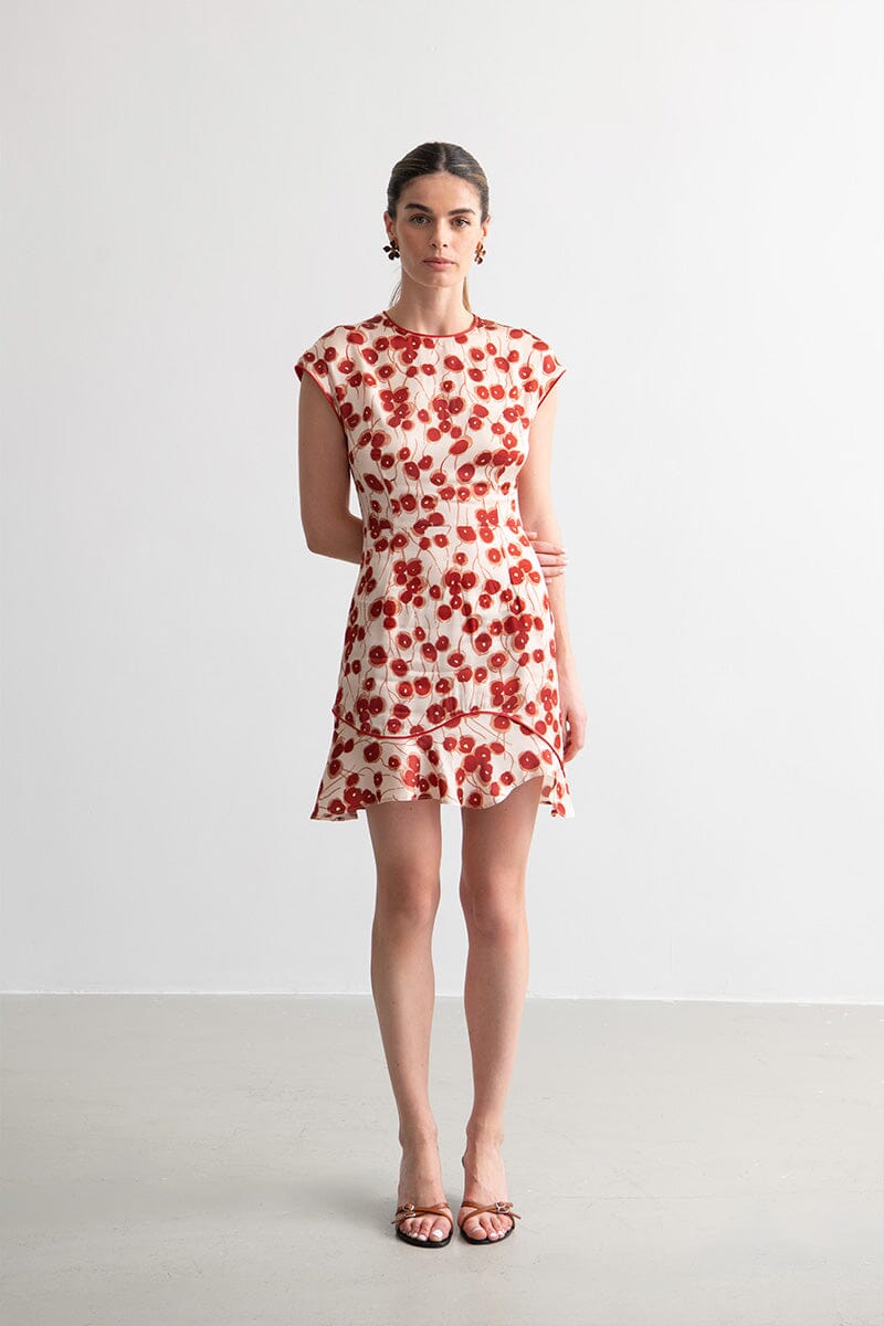 Dana Cherry Dress Dresses Amlul 