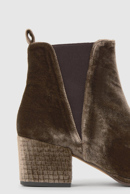 NEANDRA/311 brown Booties Castañer 