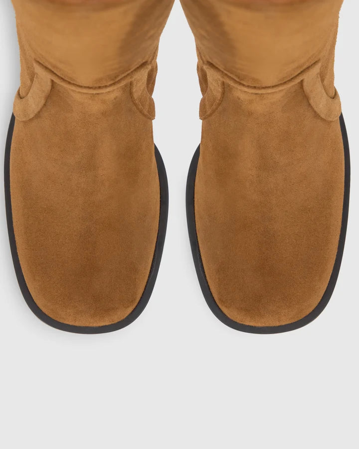 NIMBA/186 Boots Castañer 