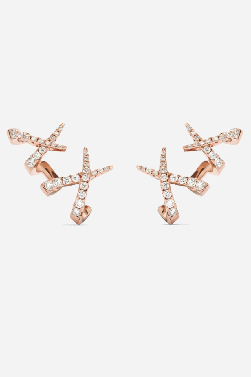 Pendientes trepador Jardín de Aire diamantes Earrings Gold & Roses 