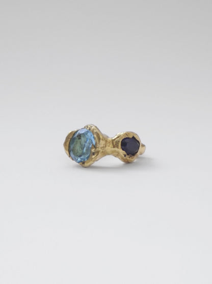 Presencia Ring Gold Rings Albert Coll 