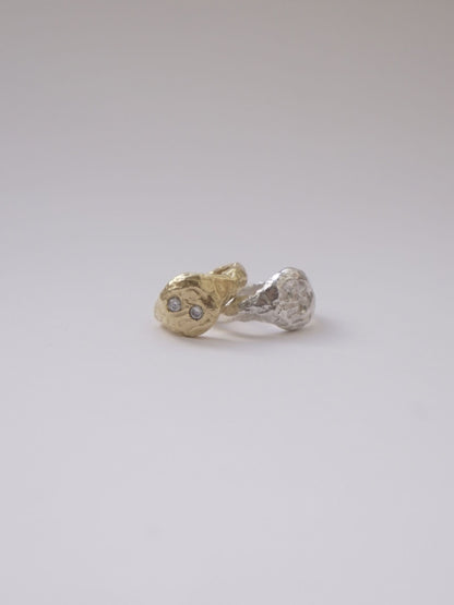 Record Ring Gold Rings Albert Coll 