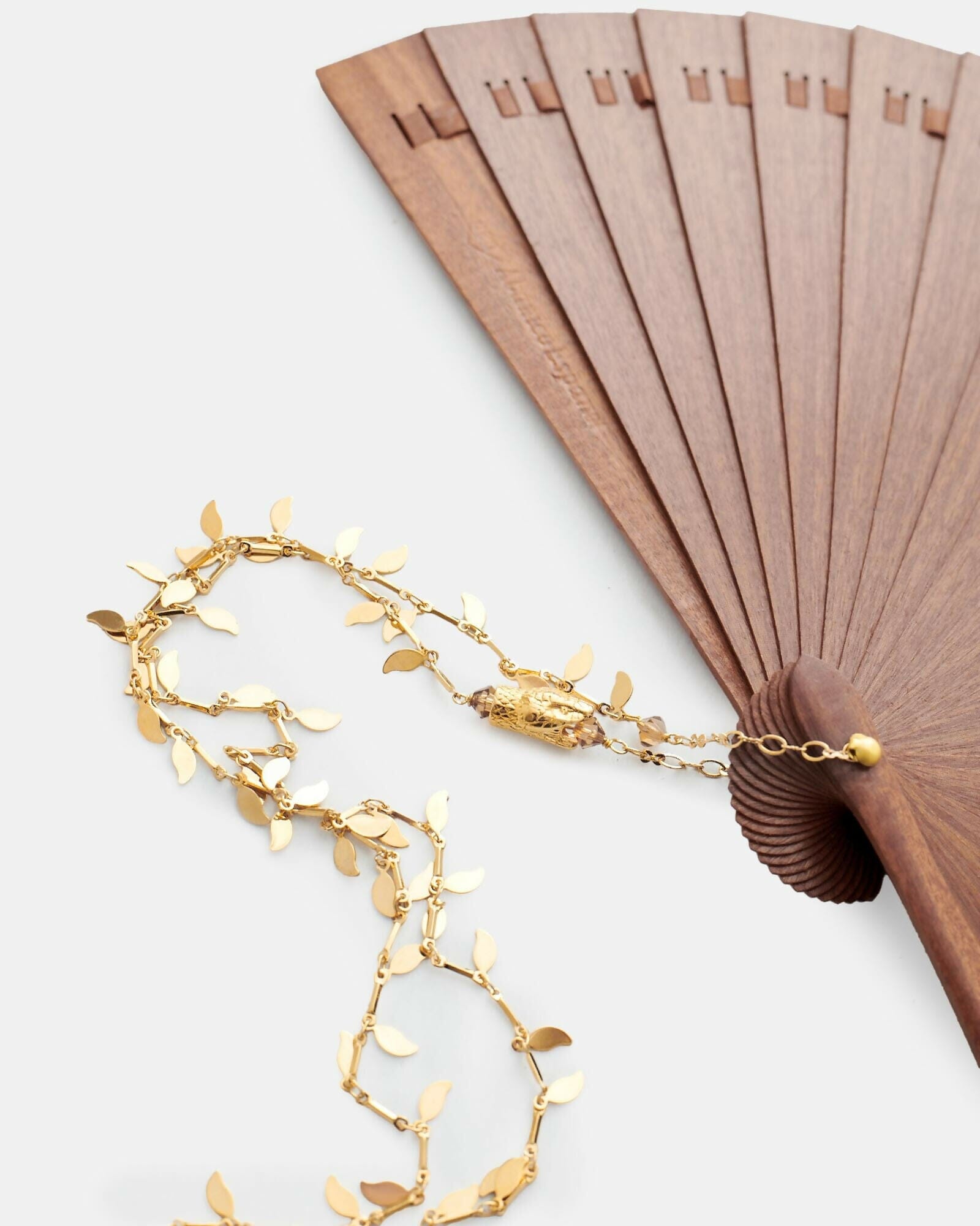 Robin Snake Forest FAN La Morenita 