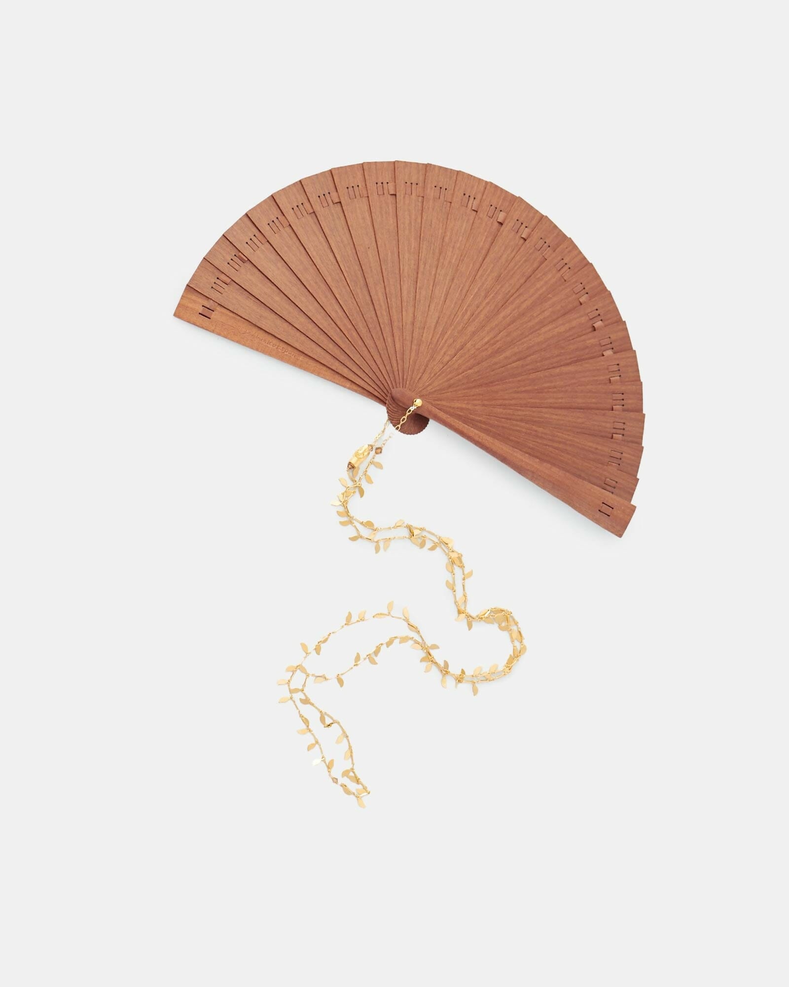 Robin Snake Forest FAN La Morenita 