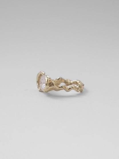 Tensió Ring Gold Rings Albert Coll 