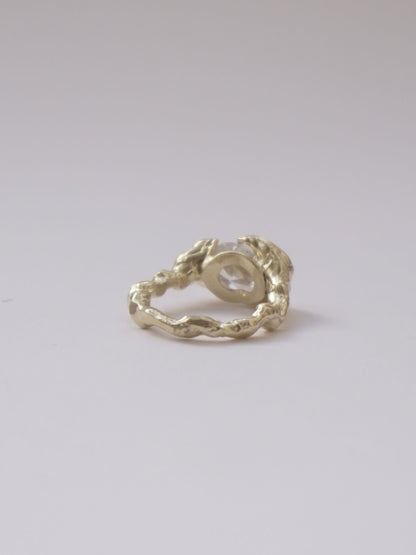 Tensió Ring Gold Rings Albert Coll 