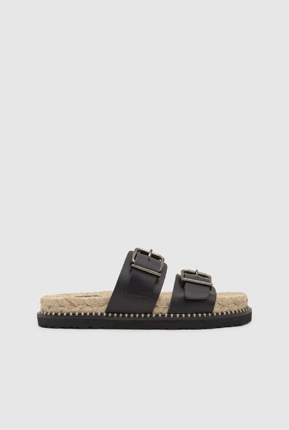 TER/261 Planas Castañer 