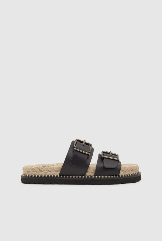 TER/261 Planas Castañer 