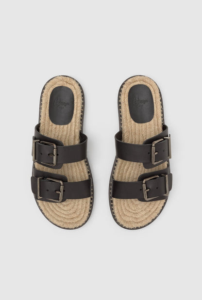 TER/261 Planas Castañer 