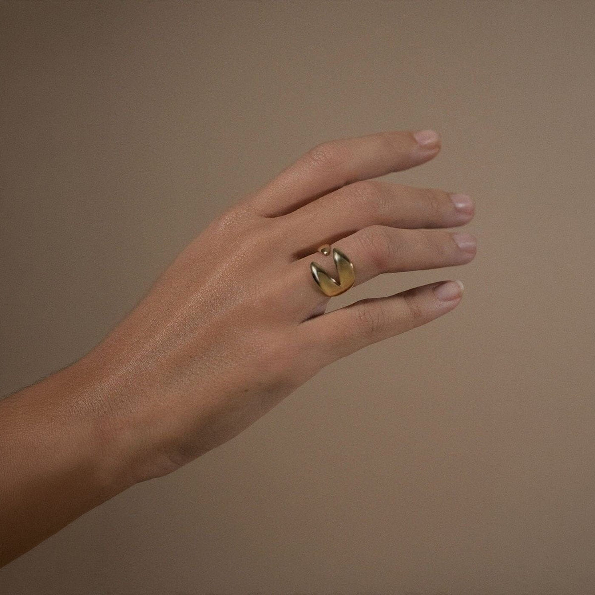 The hook ring Rings Crusset 