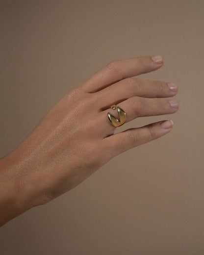 The hook ring Rings Crusset 