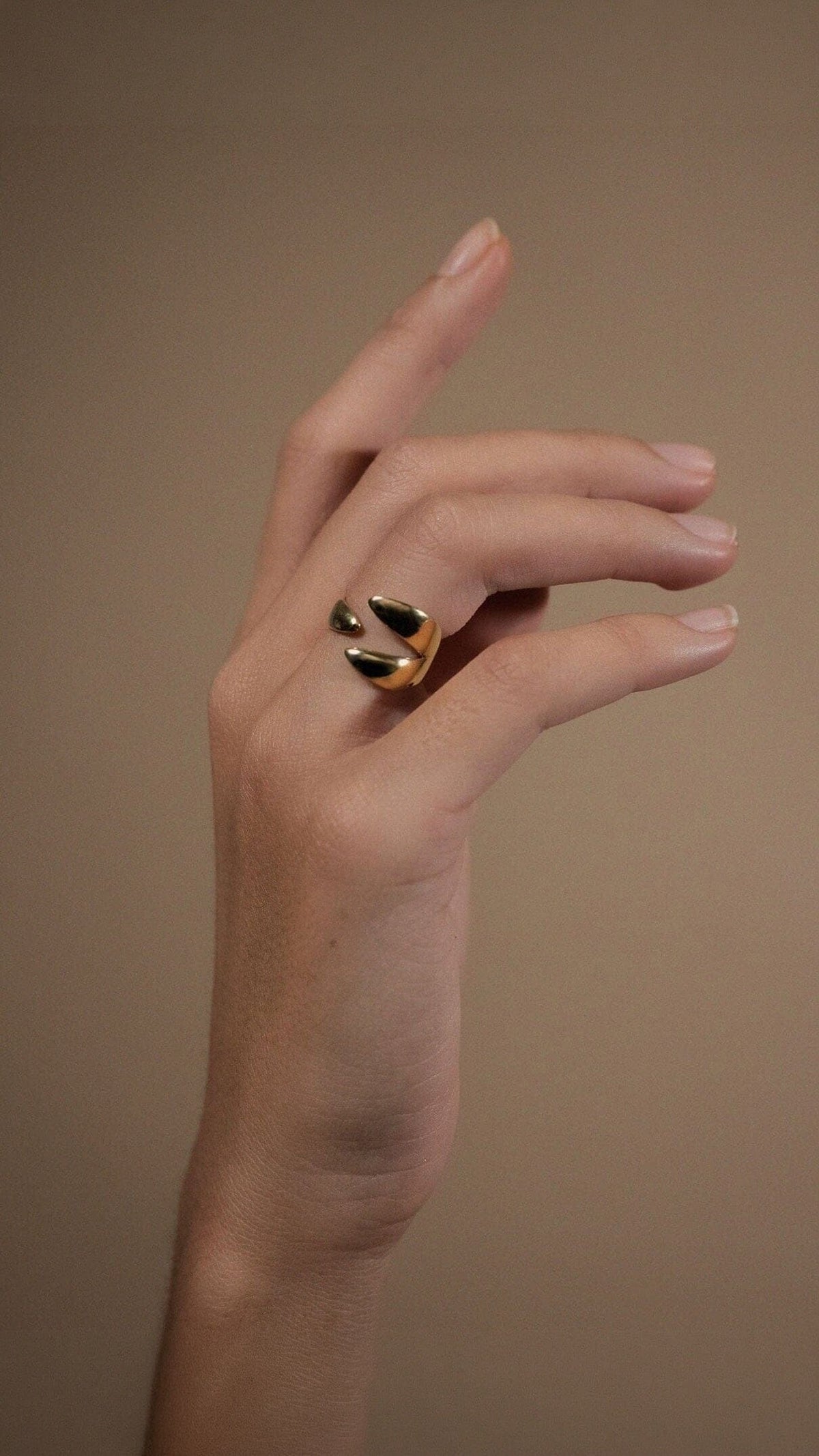 The hook ring Rings Crusset 