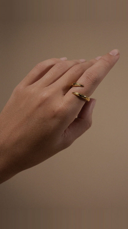 The punk ring Rings Crusset 