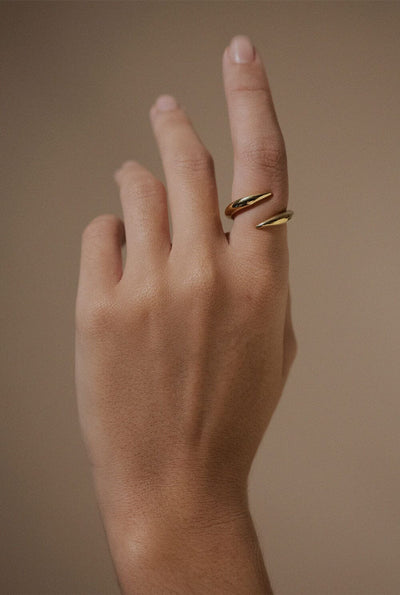 The punk ring Rings Crusset 
